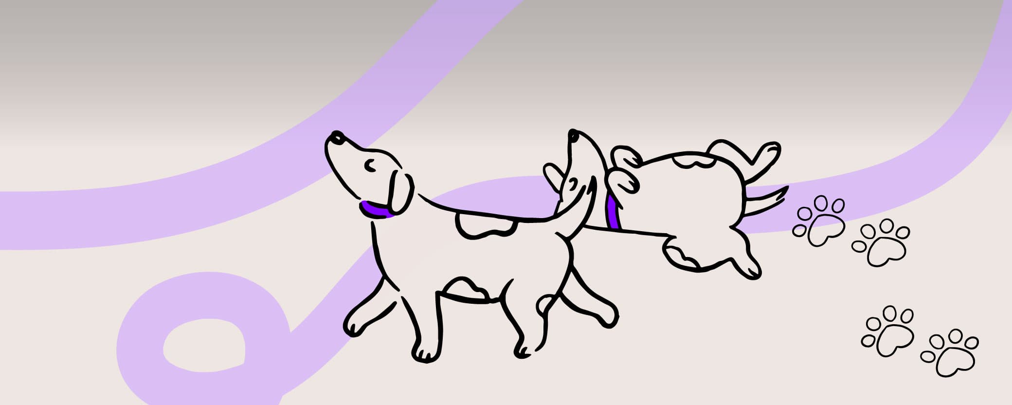 Disfrutá de El Solar con tu mejor amigo. El Solar Shopping